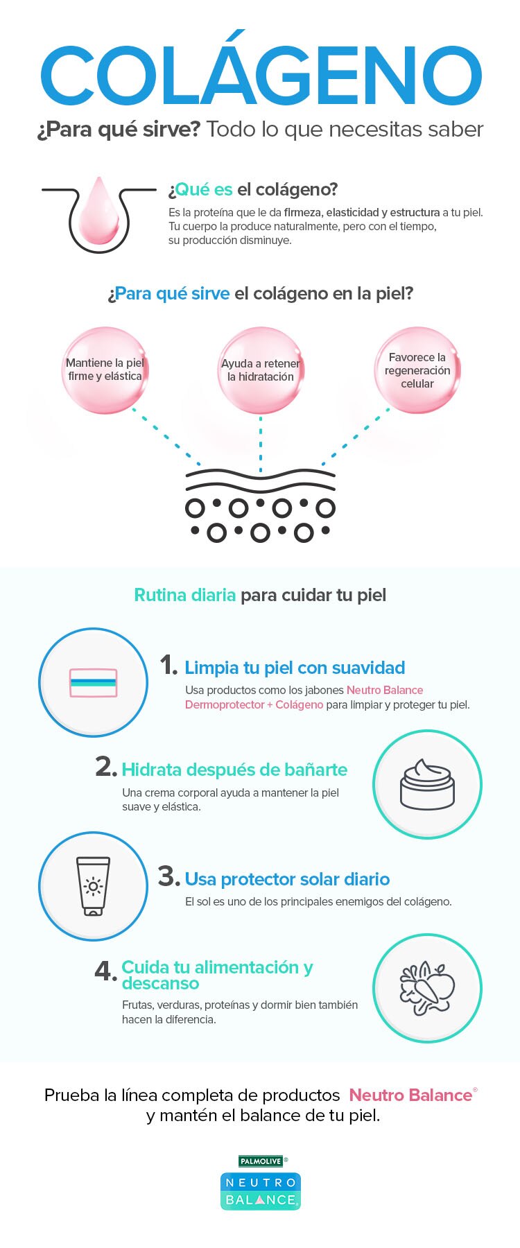 Infografía: ¿Para qué sirve el colágeno en la piel?